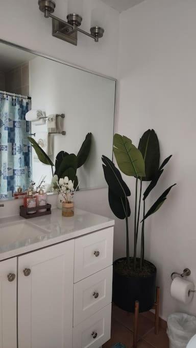 Apartamento Fall In Love To Endless Summer. Charm And Private Loiza Exterior foto