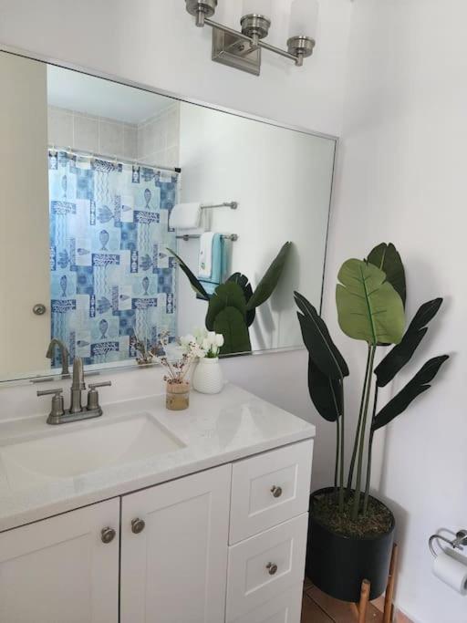 Apartamento Fall In Love To Endless Summer. Charm And Private Loiza Exterior foto