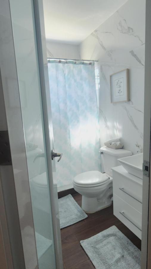 Apartamento Fall In Love To Endless Summer. Charm And Private Loiza Exterior foto
